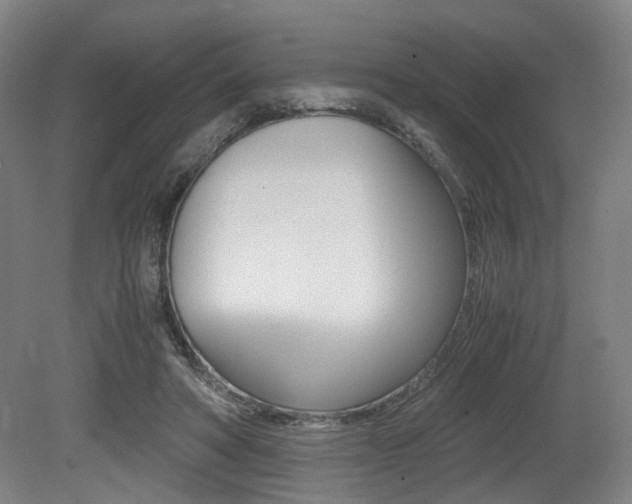 X0000079320402200611170936