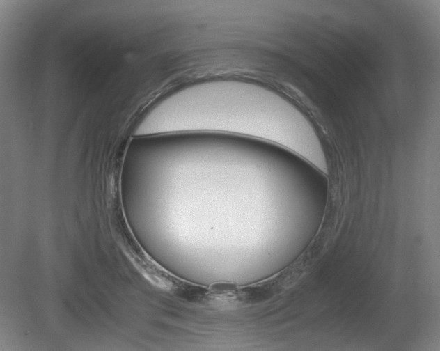 X0000079320405200611170936