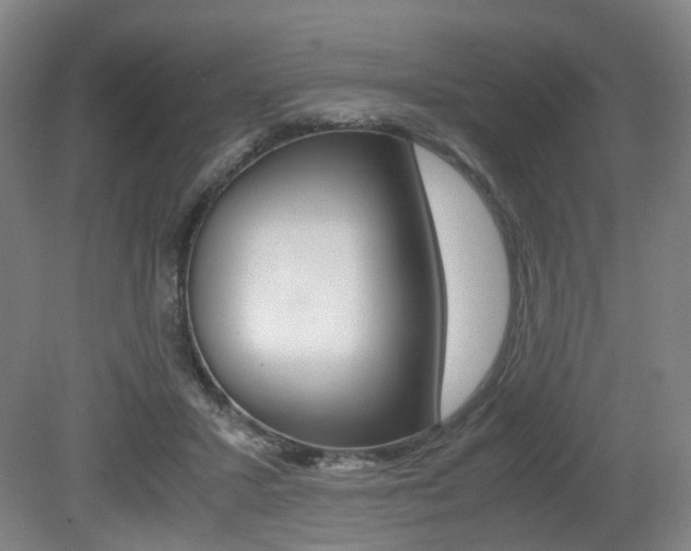 X0000079320407200611170936