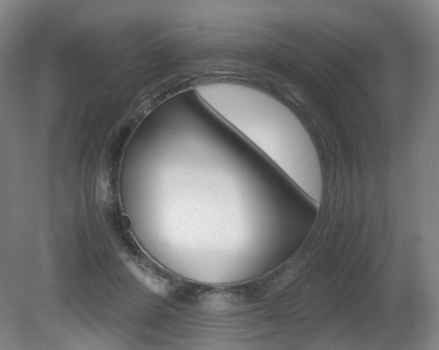 X0000079320408200611170935