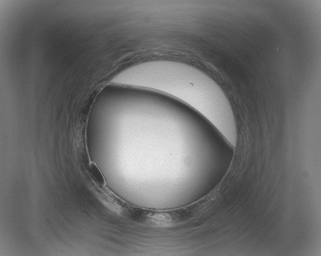 X0000079320409200611170935