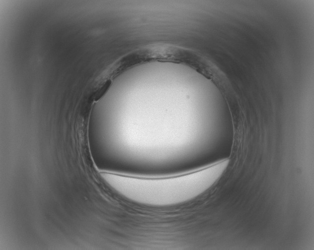 X0000079320413200611170935