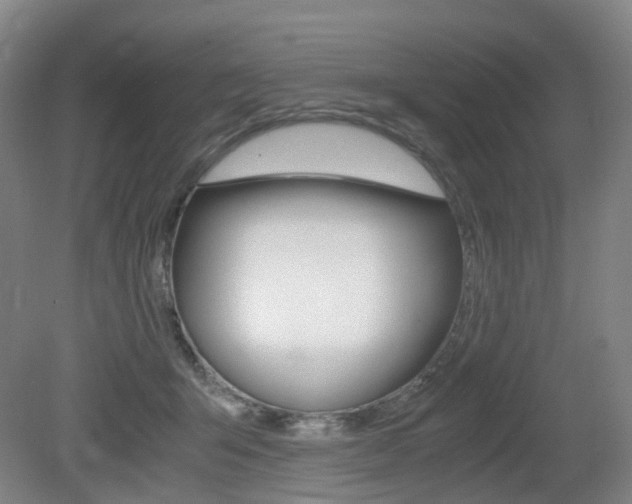 X0000079320415200611170935
