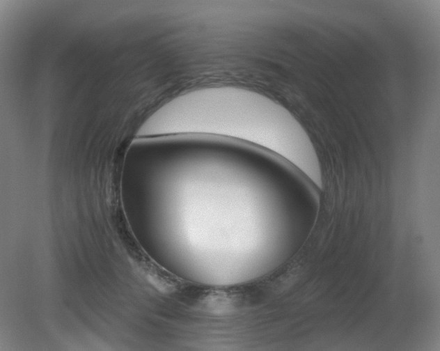 X0000079320416200611170935