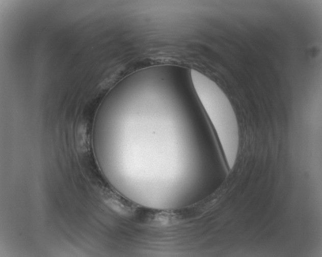 X0000079320420200611170935