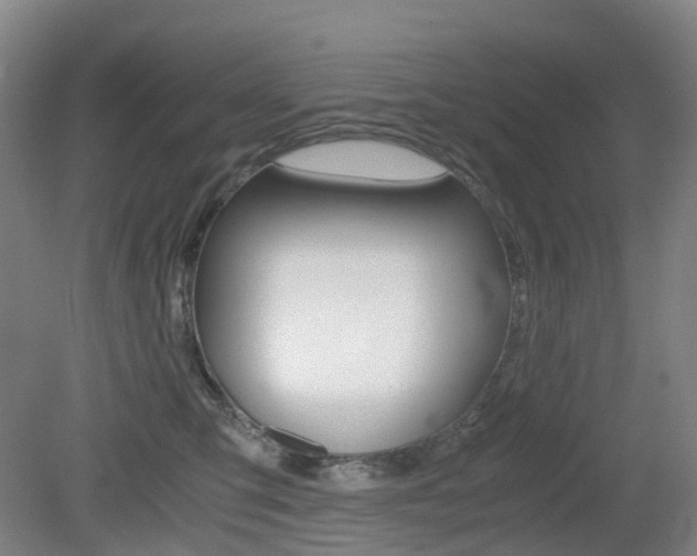 X0000079320423200611170935