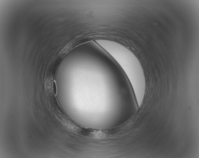 X0000079320425200611170935