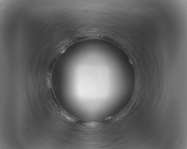 X0000079320432200611170935