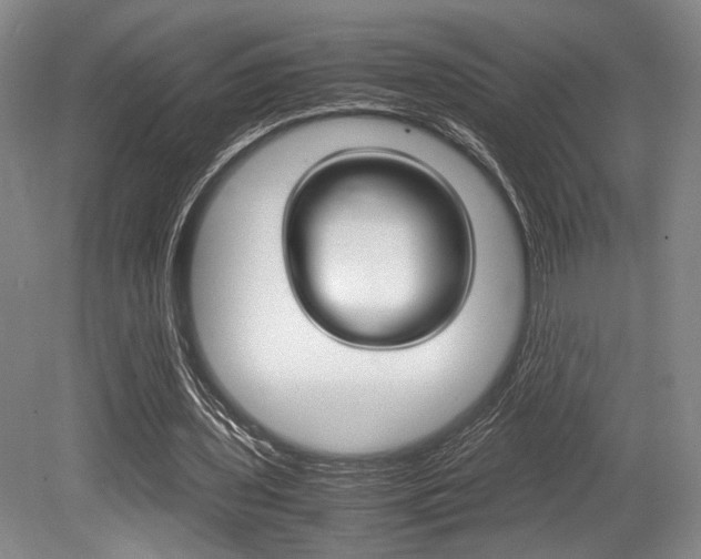 X0000079320435200611170934