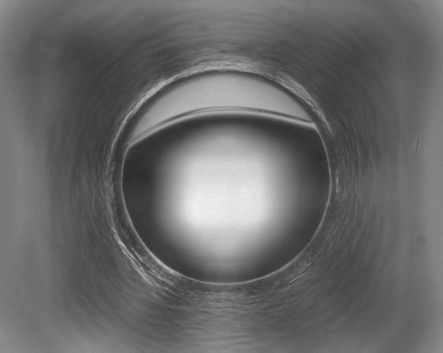 X0000079320436200611170934