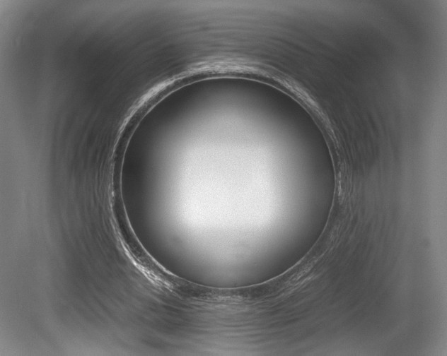 X0000079320438200611170934