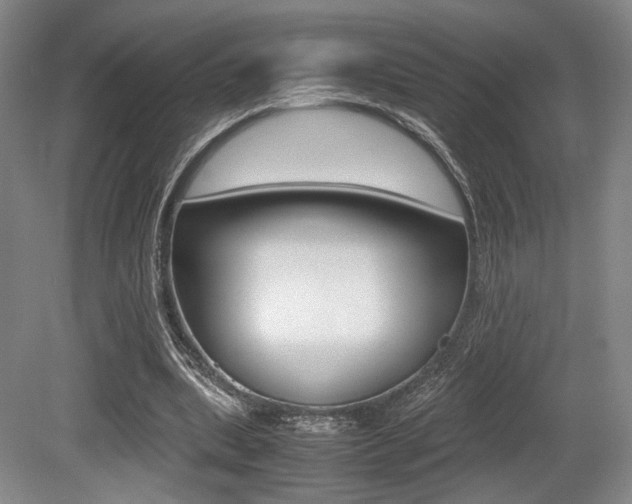 X0000079320439200611170934