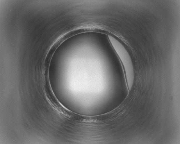 X0000079320440200611170934