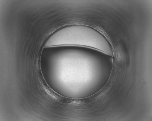 X0000079320441200611170934