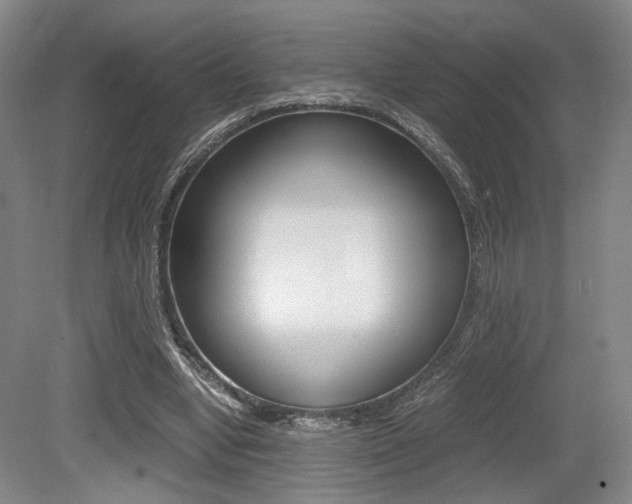 X0000079320442200611170934