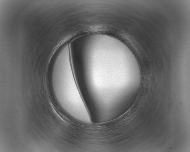 X0000079320443200611170934