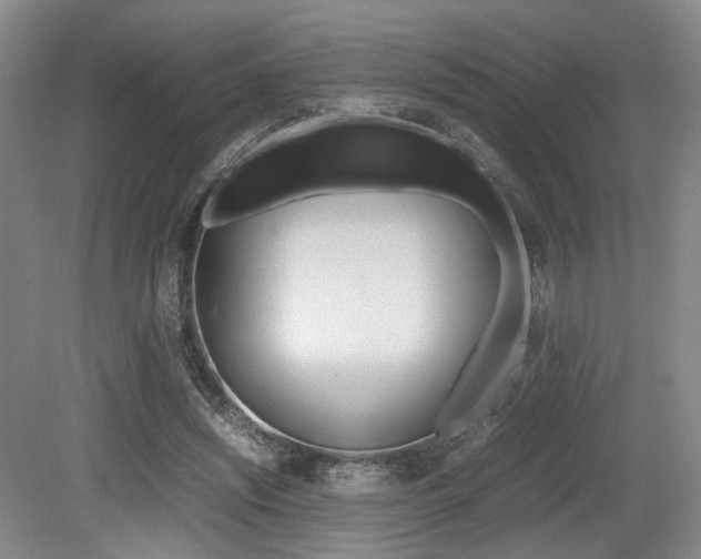 X0000079320444200611170934