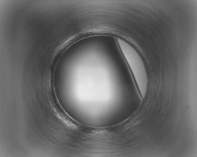 X0000079320446200611170934