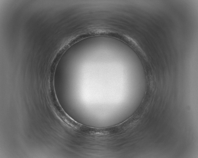X0000079320447200611170935