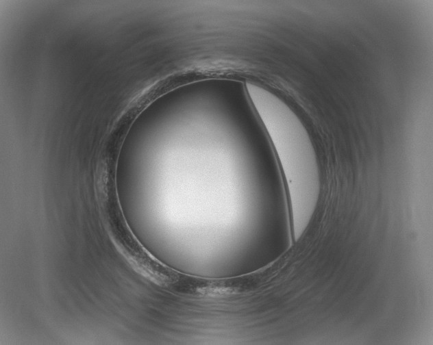 X0000079320448200611170935