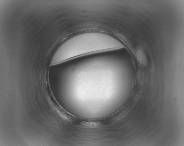 X0000079320449200611170935