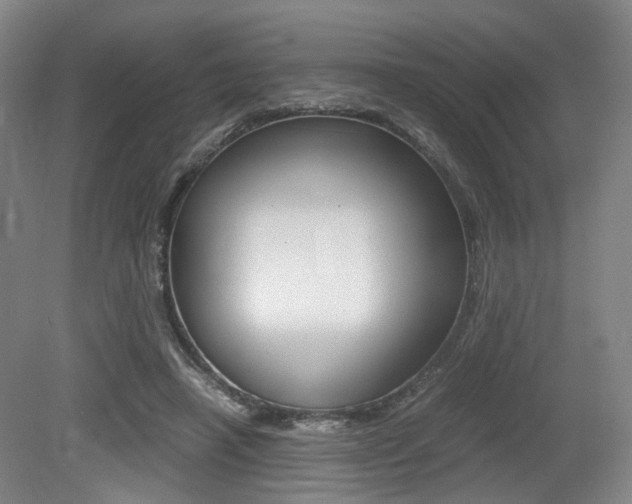 X0000079320450200611170935
