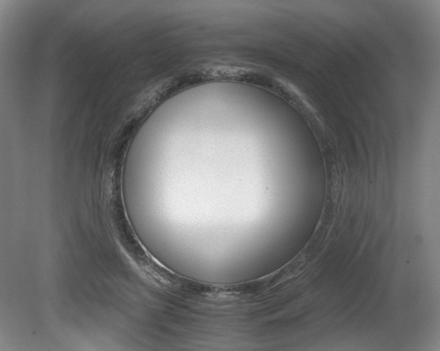X0000079320451200611170935