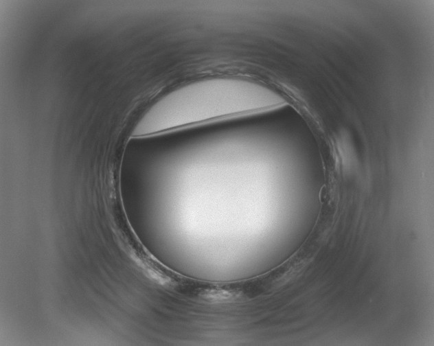 X0000079320453200611170935