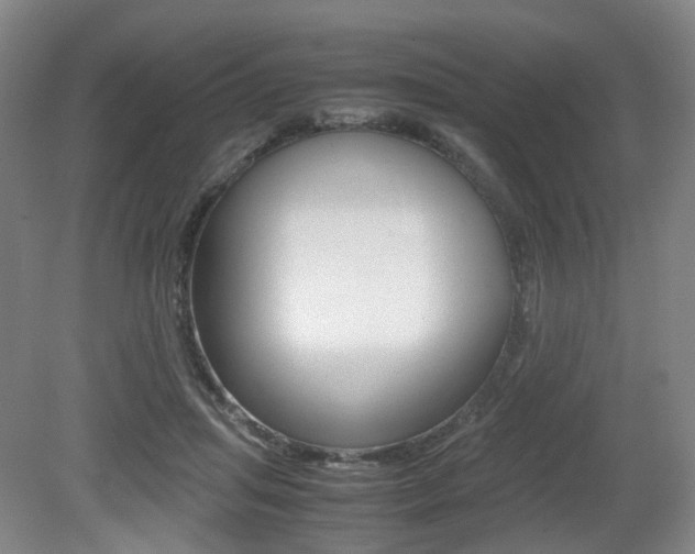 X0000079320455200611170935
