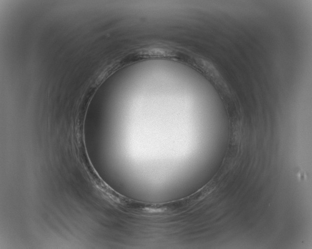 X0000079320457200611170935