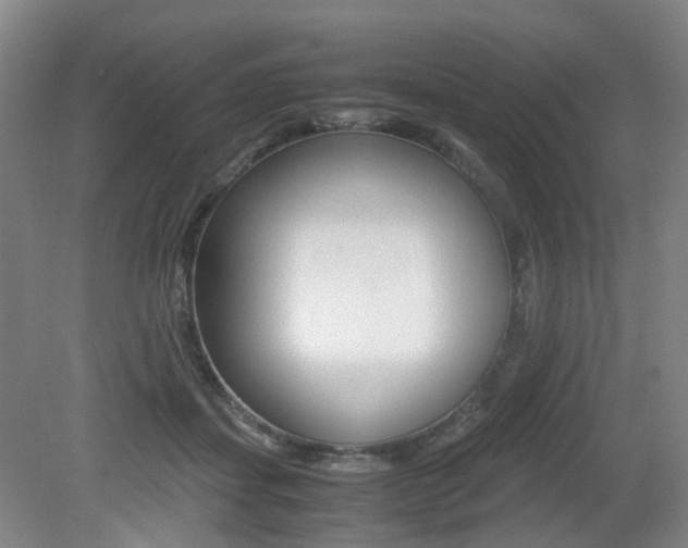 X0000079320459200611170935