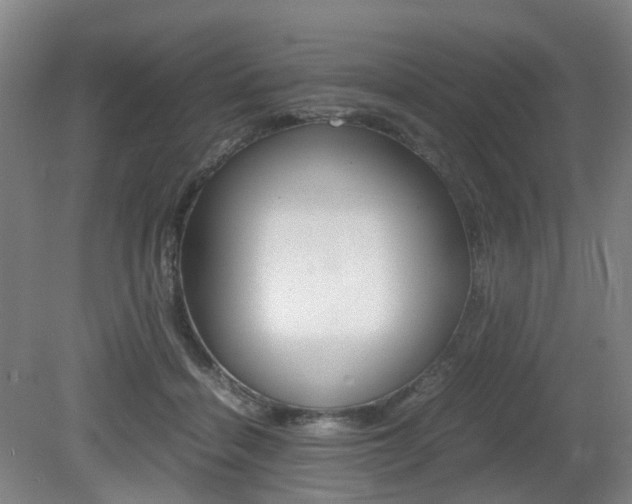 X0000079320460200611170935