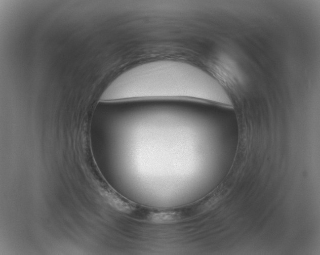 X0000079320461200611170935
