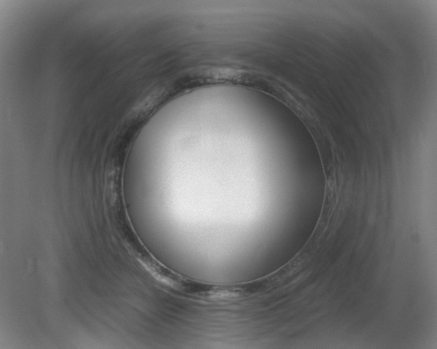 X0000079320462200611170935