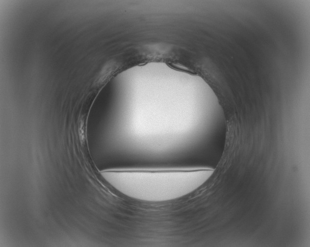 X0000079320479200611170935