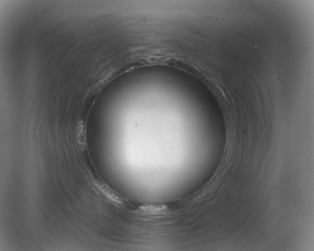 X0000079320480200611170935