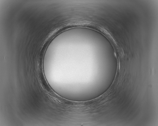 X0000079320483200611170934