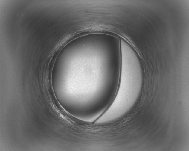 X0000079320485200611170934
