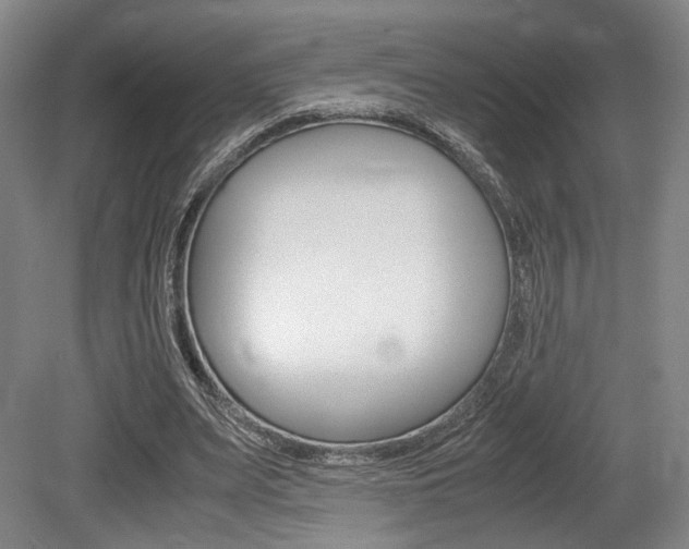 X0000079320487200611170934