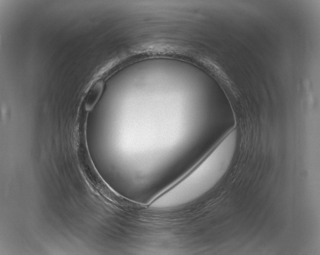 X0000079320488200611170934