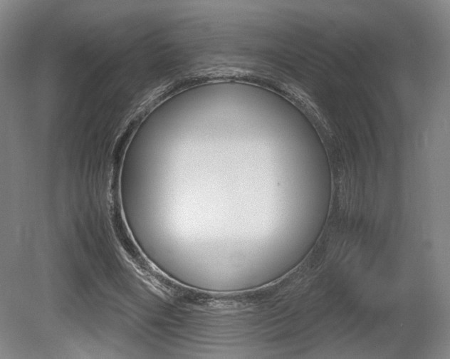 X0000079320490200611170934