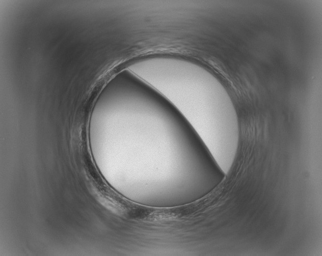 X0000079320491200611170934
