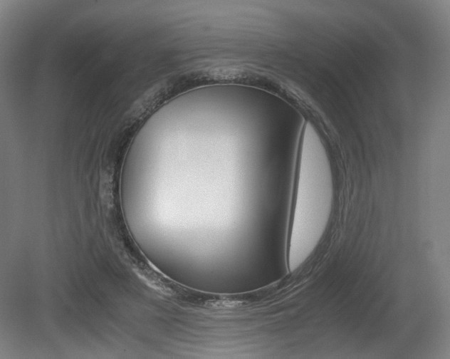 X0000079320497200611170934