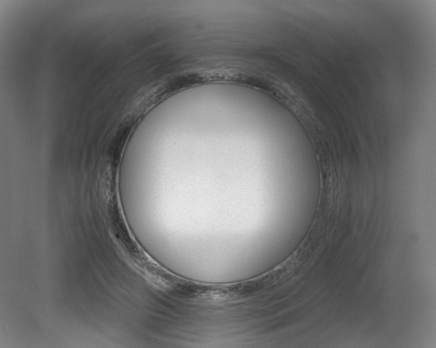 X0000079320498200611170934