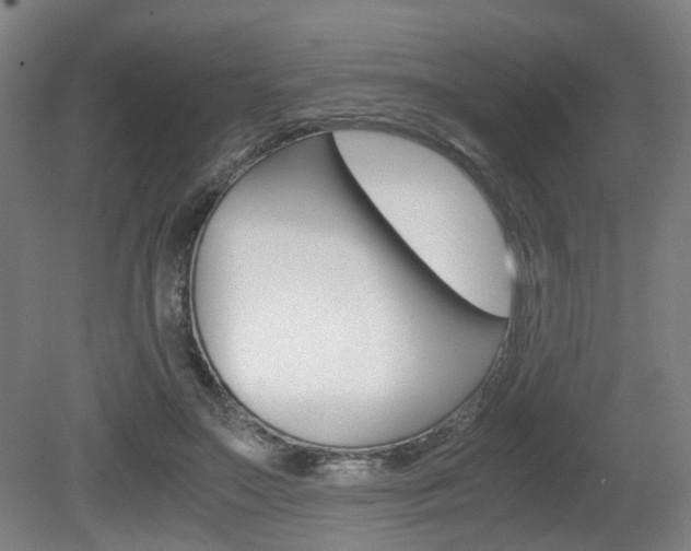 X0000079320499200611170934