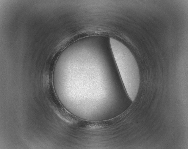 X0000079320500200611170934