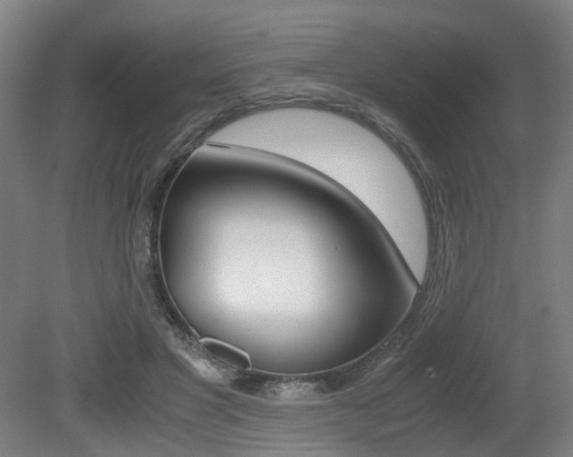 X0000079320501200611170934
