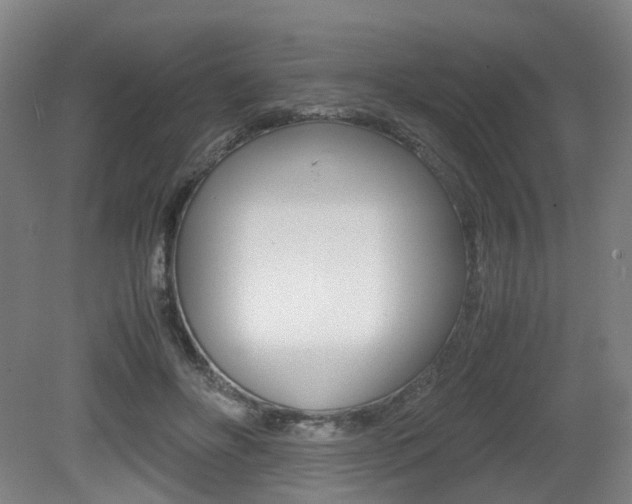 X0000079320502200611170934