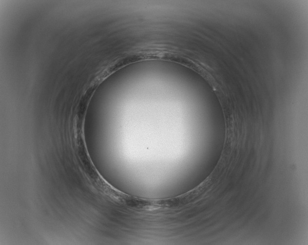 X0000079320504200611170934