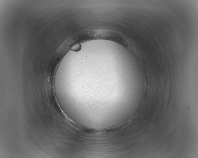 X0000079320506200611170934